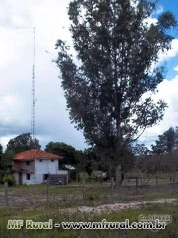 Fazenda com 3.117 hectares - Tangará da Serra/MT – Ref. 733