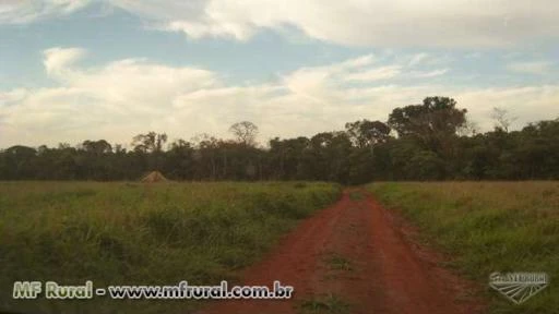Fazenda em Rio Brilhante, MS, com 402 hectares – Ref. 732