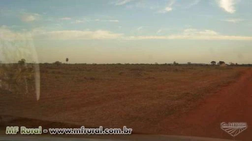 Fazenda em Rio Brilhante, MS, com 402 hectares – Ref. 732