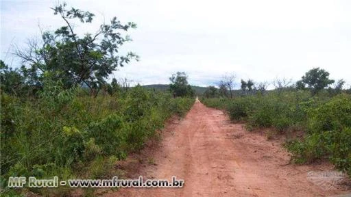 Fazenda em Piauí com 59 mil hectares – Ref. 731
