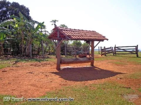 Fazenda com 1023 hectares - Rio Verde/MS - Ref. 730