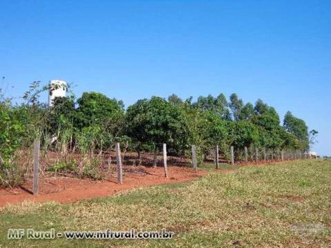 Fazenda com 1023 hectares - Rio Verde/MS - Ref. 730