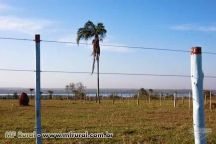 Fazenda com 319,44 hectares - Bataguassu/MS – Ref. 728