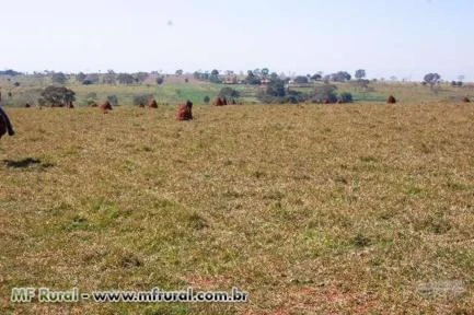 Fazenda com 319,44 hectares - Bataguassu/MS – Ref. 728