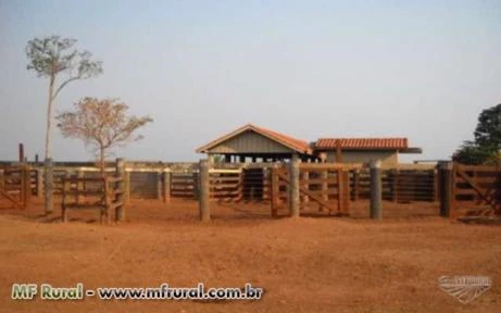Fazenda a venda em Mato Grosso com 18.900 hectares – Ref. 724