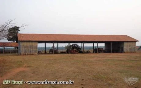 Fazenda a venda em Mato Grosso com 18.900 hectares – Ref. 724