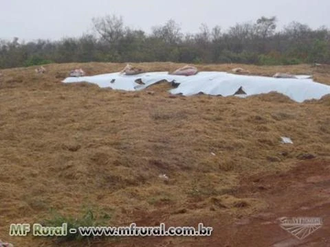 Fazenda com 12.500 hectares - Cocalinho/MT – Ref. 723