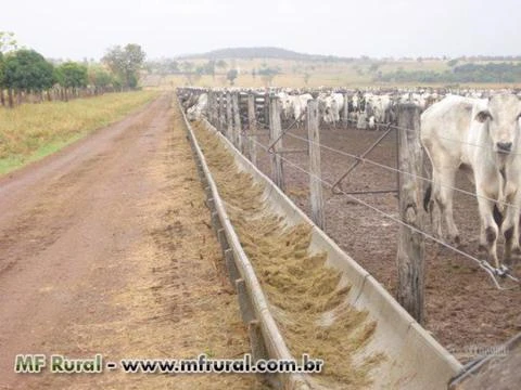 Fazenda com 12.500 hectares - Cocalinho/MT – Ref. 723