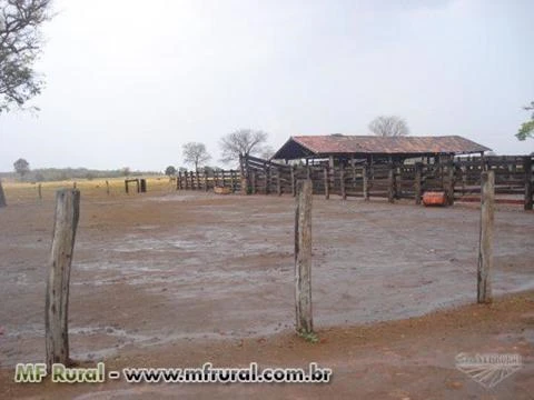 Fazenda com 12.500 hectares - Cocalinho/MT – Ref. 723