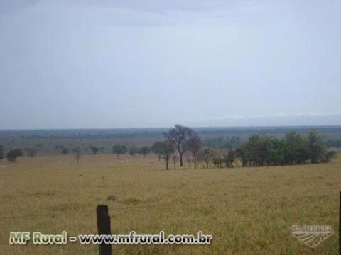 Fazenda com 12.500 hectares - Cocalinho/MT – Ref. 723