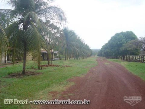 Fazenda com 12.500 hectares - Cocalinho/MT – Ref. 723