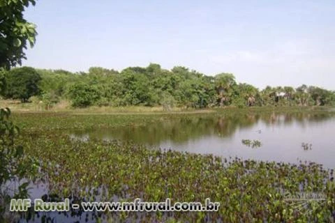 Fazenda com 12.500 hectares - Cocalinho/MT – Ref. 723