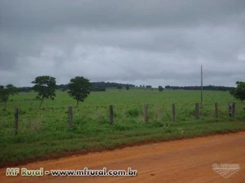 Fazenda com 12.500 hectares - Cocalinho/MT – Ref. 723