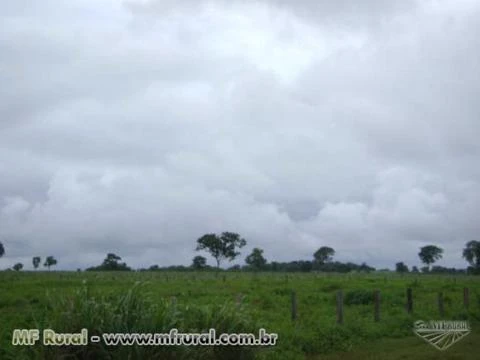 Fazenda com 12.500 hectares - Cocalinho/MT – Ref. 723