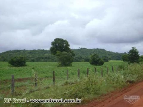 Fazenda com 12.500 hectares - Cocalinho/MT – Ref. 723