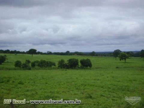 Fazenda com 12.500 hectares - Cocalinho/MT – Ref. 723