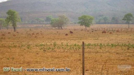 Fazenda com 10.446 hectares - Paranatinga/MT – Ref. 722