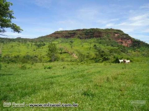 Fazenda com 2.508 hectares - Rondonópolis/MT – Ref. 721