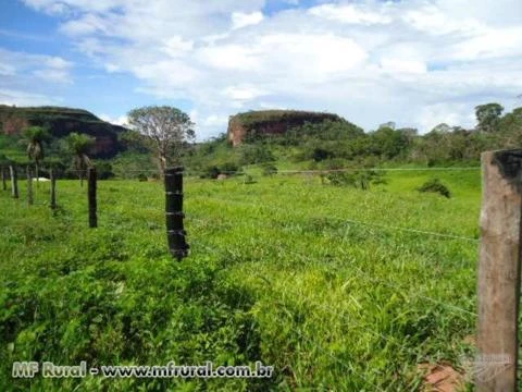 Fazenda com 2.508 hectares - Rondonópolis/MT – Ref. 721