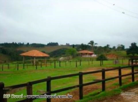 Haras no Paraná, bem localizado e com terreno de 52 hectares – Ref. 718
