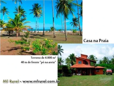 Fazenda na Bahia com 150 hectares e ótima vista para o mar – Ref. 720