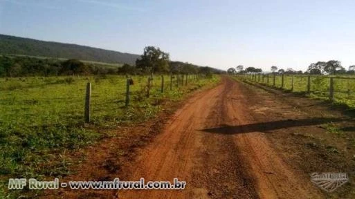 Fazenda 2.180 hectares com dupla aptidão - Cáceres/MT – Ref. 716