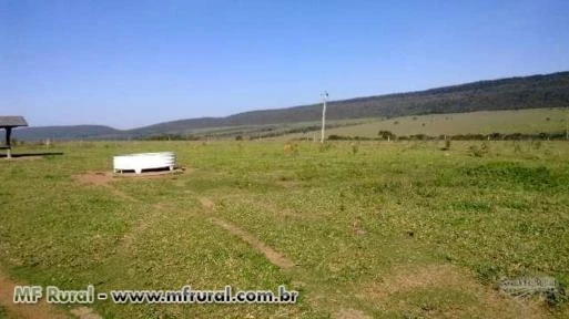Fazenda 2.180 hectares com dupla aptidão - Cáceres/MT – Ref. 716