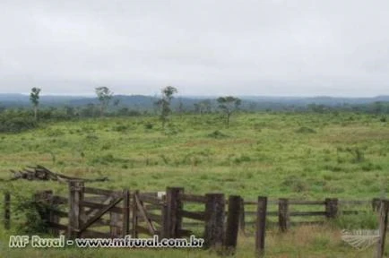 Fazenda com 14.650 hectares - Peixoto de Azevedo/MT – Ref. 715