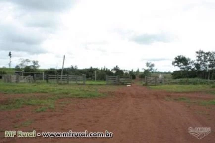 Fazenda com 14.650 hectares - Peixoto de Azevedo/MT – Ref. 715