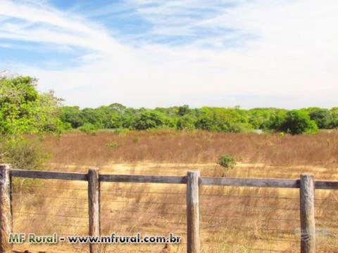 Fazenda com 100.532 hectares - Cocalinho/MT – Ref. 713