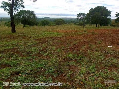 Fazenda com 440 hectares - Costa Rica/MS – Ref. 711