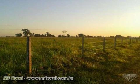 Fazenda com 2.000 hectares - Cuiabá/MT – Ref. 271