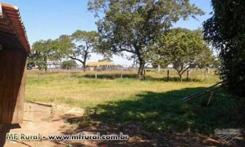Fazenda com 2.000 hectares - Cuiabá/MT – Ref. 271