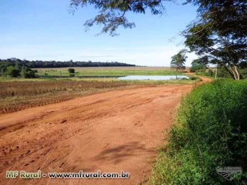Fazenda com 9.645,9 hectares - Ribeirão Cascalheira/MT – Ref. 710