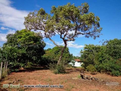 Chácara em Campo Grande com 0,5 hectare – Ref. 032