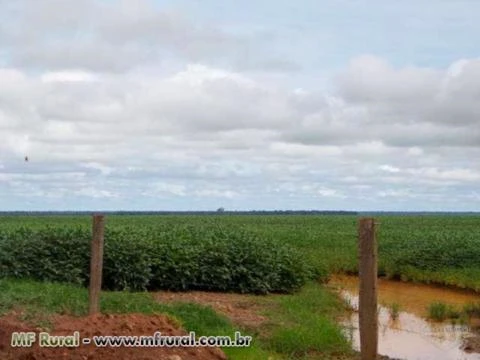 Fazenda com 15.452 hectares - Canarana/MT – Ref. 702