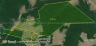 Fazenda com 31.875 hectares - Brasnorte/MT – Ref. 701
