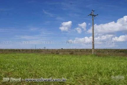 Fazenda com 9.600 hectares - Santo Antônio do Leste/MT – Ref. 699