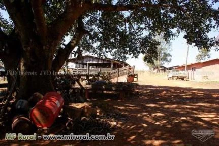 Fazenda com 9.600 hectares - Santo Antônio do Leste/MT – Ref. 699