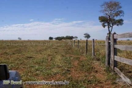 Fazenda com 9.600 hectares - Santo Antônio do Leste/MT – Ref. 699