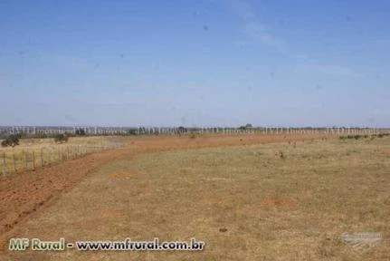 Fazenda com 9.600 hectares - Santo Antônio do Leste/MT – Ref. 699