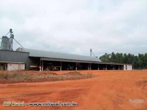 Fazenda no Norte de Mato Grosso com 35.800 hectares – Ref. 698
