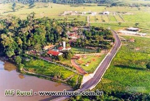 Fazenda no Pará com 19.732 hectares - Dupla aptidão – Ref. 694