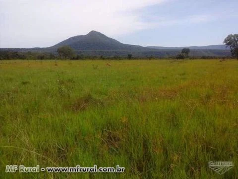 Fazenda com 6.000 hectares - Cáceres/MT – Ref. 693