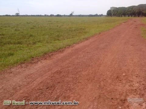 Fazenda com 6.000 hectares - Cáceres/MT – Ref. 693