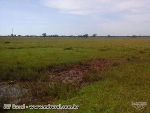 Fazenda com 6.000 hectares - Cáceres/MT – Ref. 693