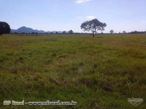 Fazenda com 6.000 hectares - Cáceres/MT – Ref. 693