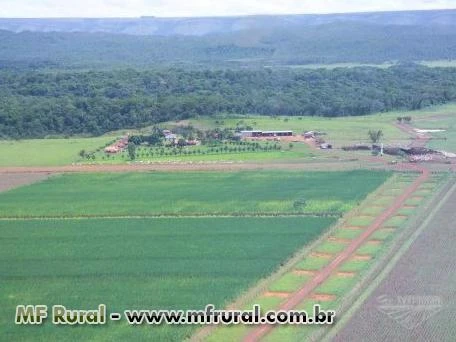 Fazenda com 7.973 hectares - Rosário Oeste/MT – Ref. 691