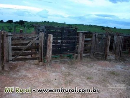 Fazenda com 7.973 hectares - Rosário Oeste/MT – Ref. 691
