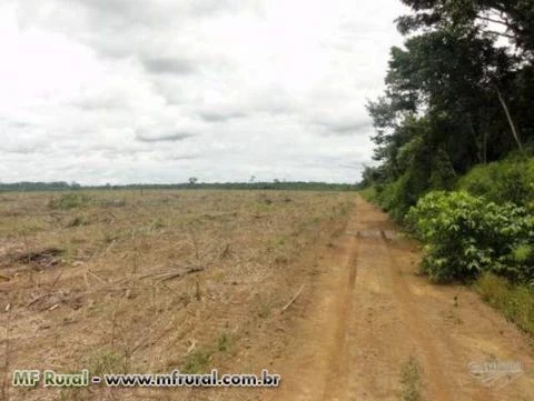 Fazenda com 10.194 hectares - Alta Floresta/MT – Ref. 688